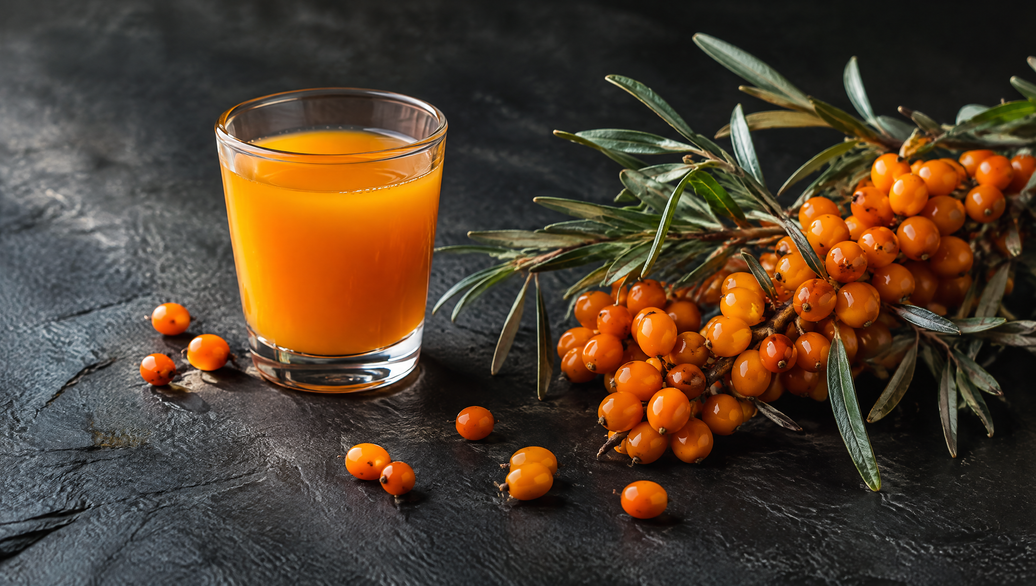 Sea buckthorn berries on the branch beside a glass of orange sea buckthorn juice, juice vs gummies vs capsules