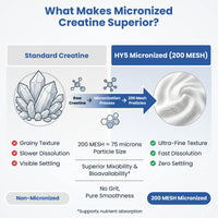 HY5 Micronized Creatine Monohydrate — 200 Mesh Hyperpure | 100g | 33 Servings