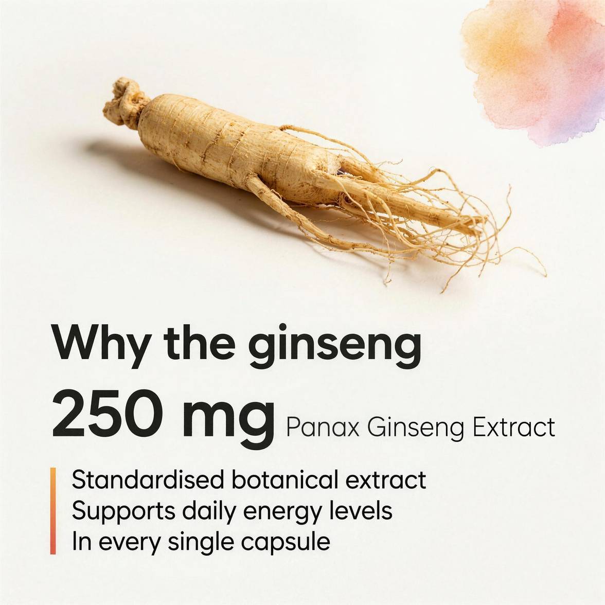 Why Panax ginseng is in NutriPeak men's multivitamin — energy and stamina support